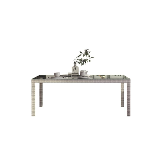 Amazonia 9-Piece Grey Wicker Patio Dining Set Wicker Rectangle Table with 8 Stationary Chairs